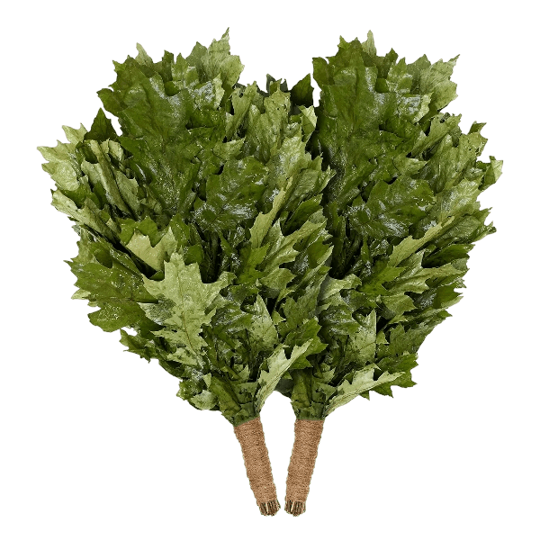 Kanadietiško Ąžuolo